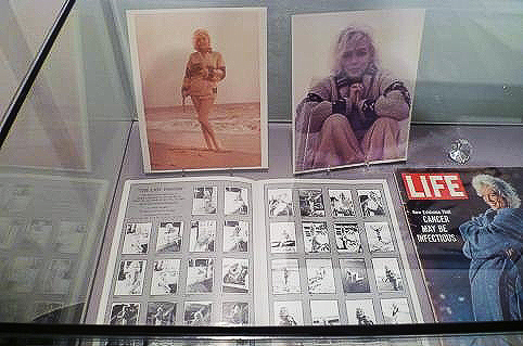 Marilyn Monroe Ausstellung Sammlung Peter Schnug