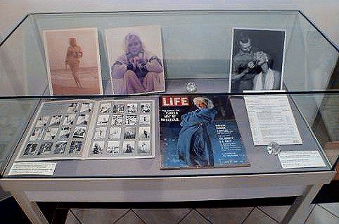 Marilyn Monroe Ausstellung Sammlung Peter Schnug